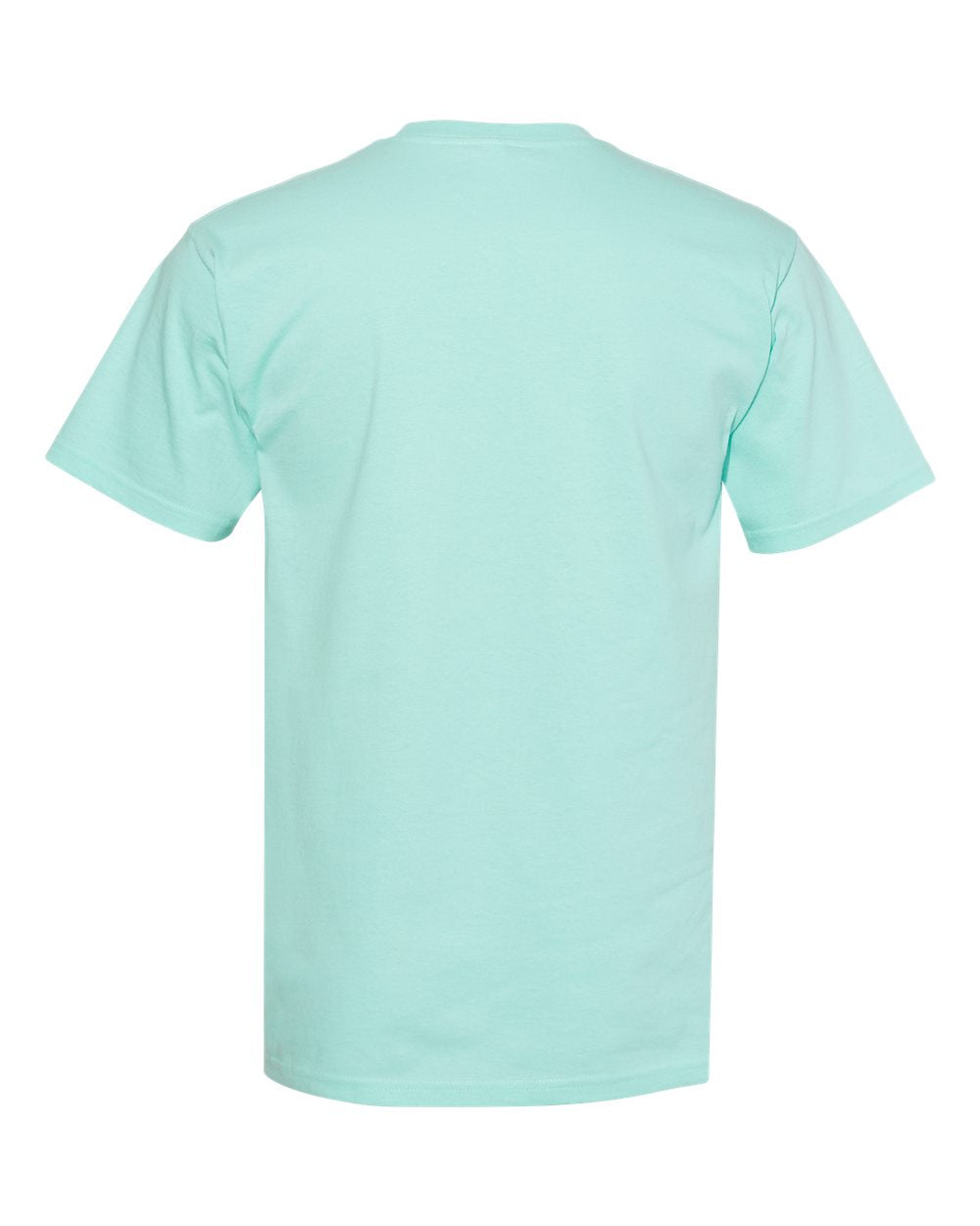 #color_Celadon