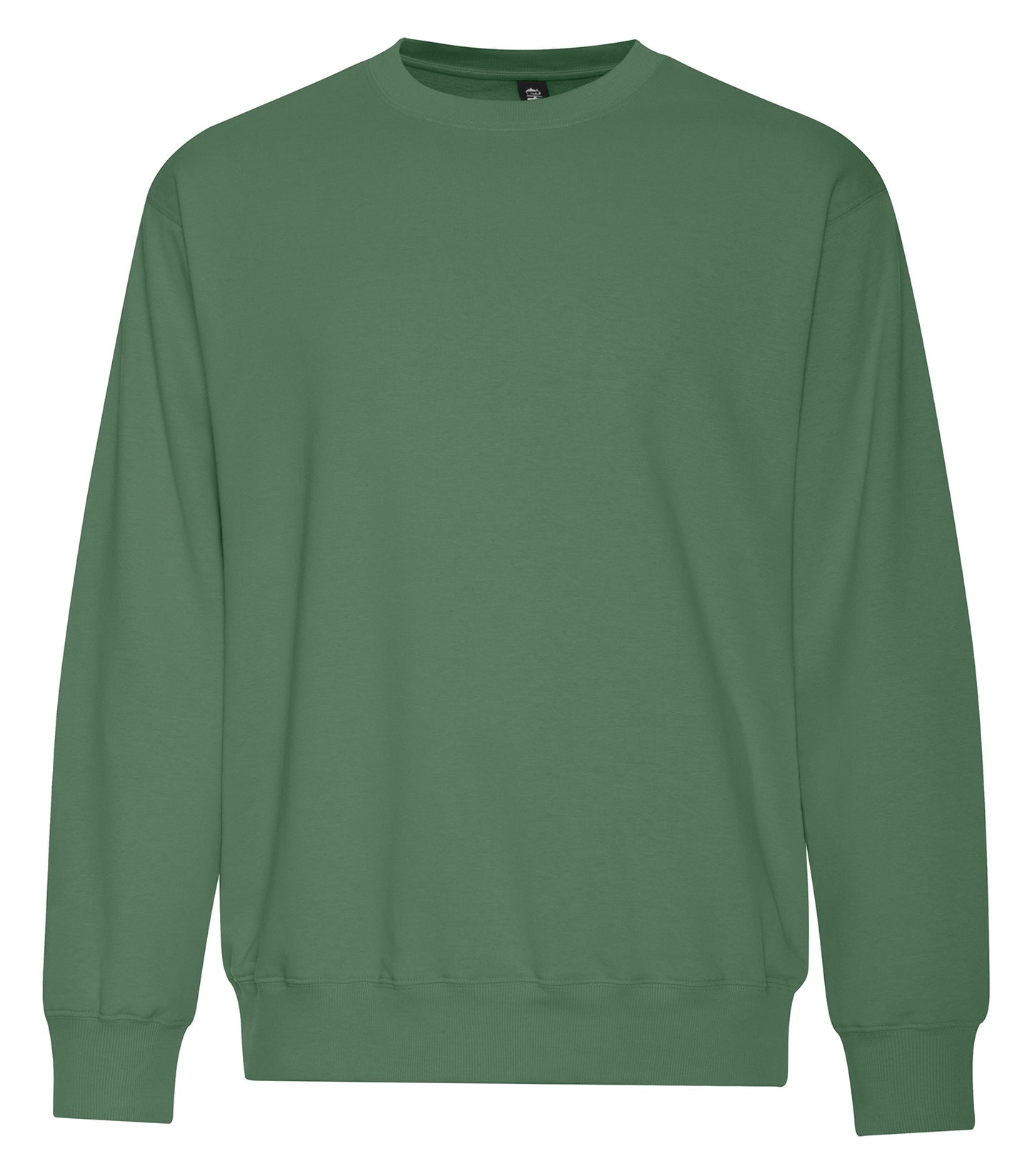 #color_Balsam Green