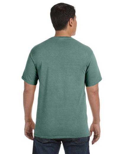 Comfort Colors Adult Heavyweight T-Shirt C1717 #color_LIGHT GREEN