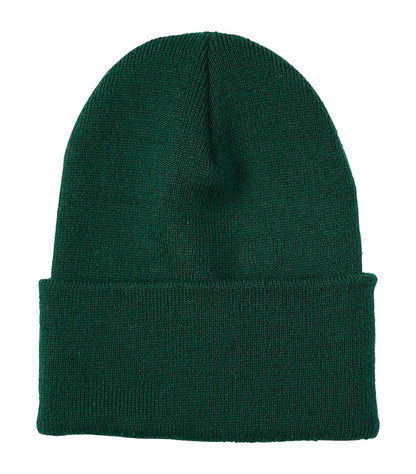 Atc Everyday Knit Cuff Toque C100 #color_AthleticGreen