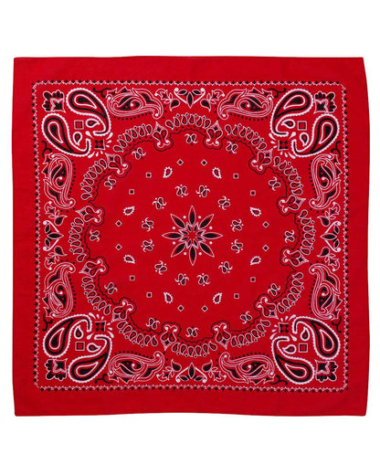 Valucap ValuMask Bandana VC21 #color_Red Paisley