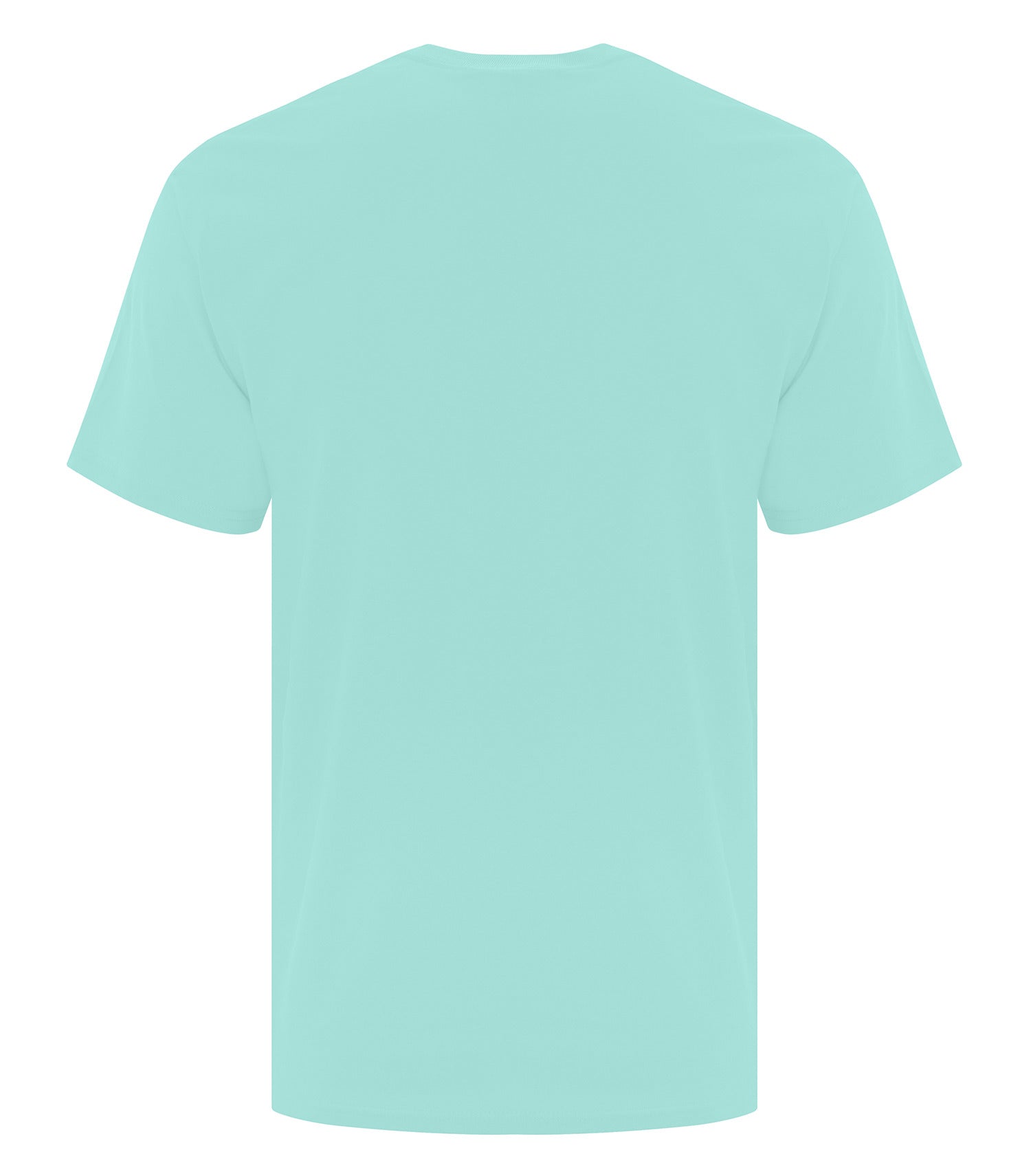 #color_True Celadon