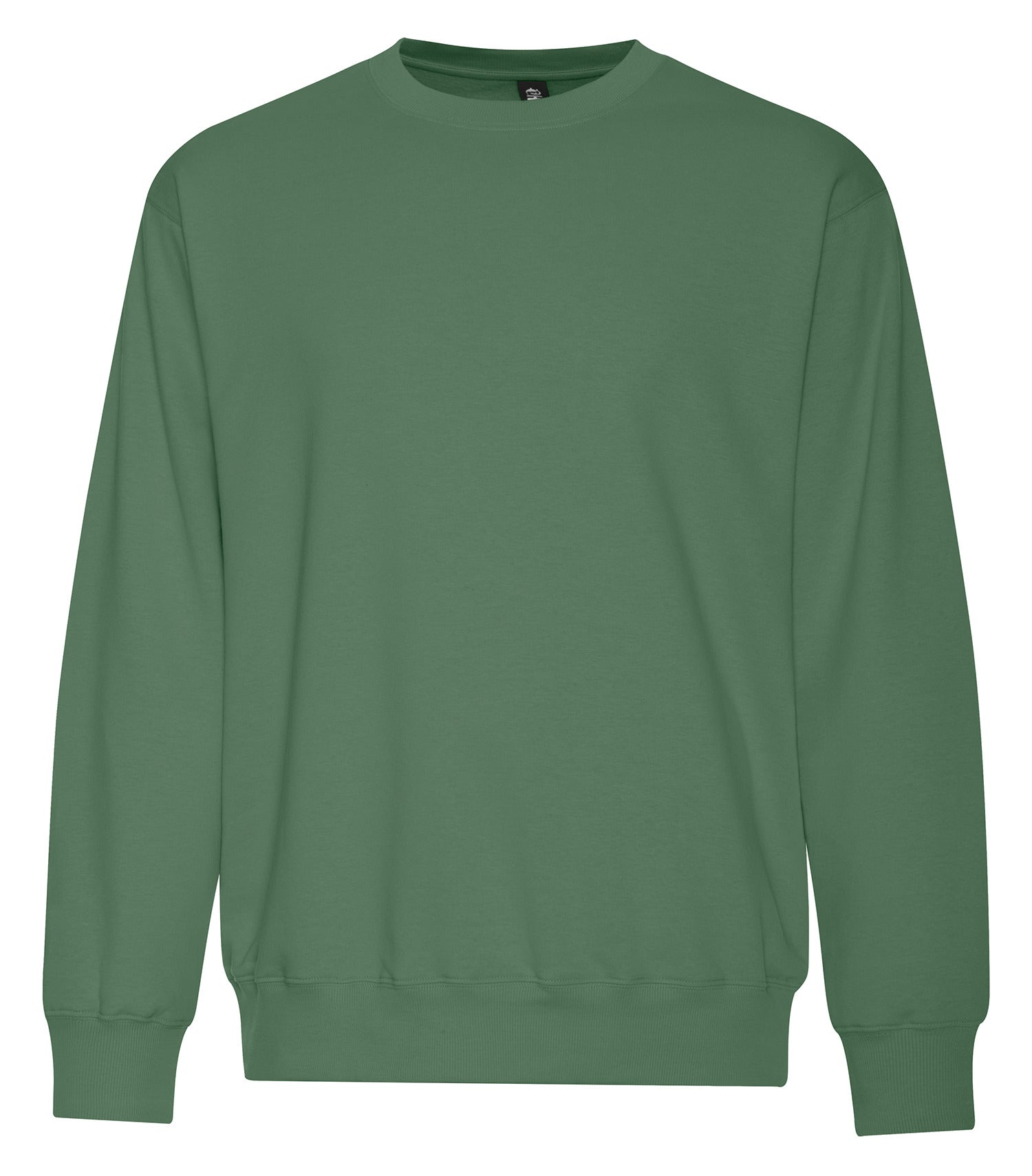 #color_Balsam Green